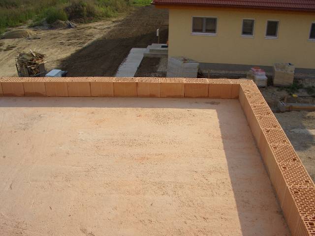 CIMG0541 Das Garagendach m�chten wir n�chstes Jahr begr�nen.