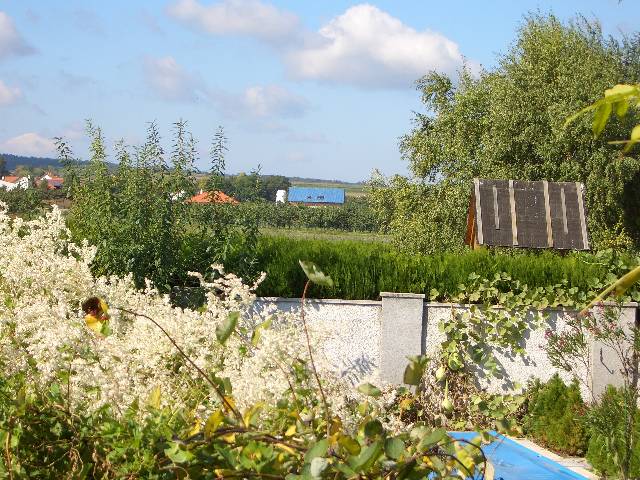 CIMG0890 Und so sieht man unser Haus von Irene�s Terasse aus. Fast so blau wie der Himmel 
;-))