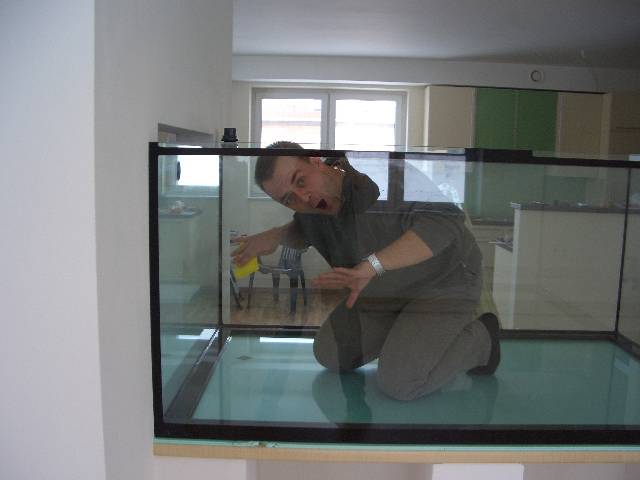 CIMG1988 Unser gr��ter Fisch f�hlt sich im neuen Aquarium schon richtig wohl.
