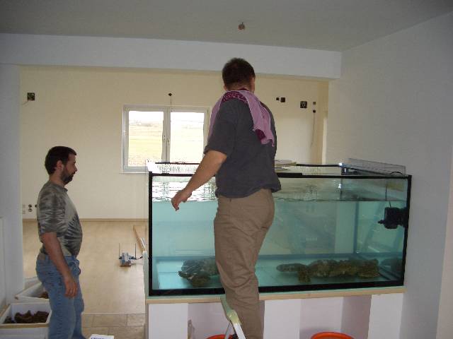 CIMG2059 Am Samstag haben wir die Steine f�r das Aquarium gekauft.