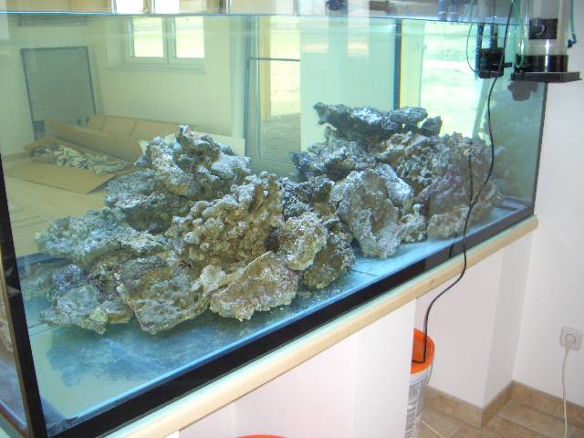 CIMG2076 Da werden sich unsere Fischi�s aber wohl f�hlen.