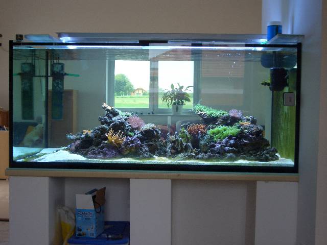 CIMG2438 Ohne Fische ist es noch ein bissi fad. Aber das soll sich bald �ndern.