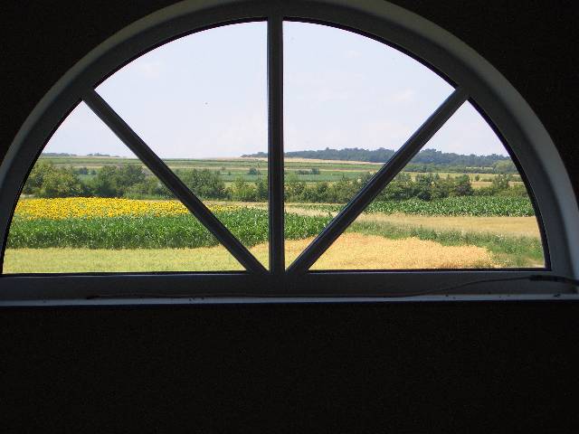 CIMG2605 Nebenan bl�hen die Sonnenblumen.