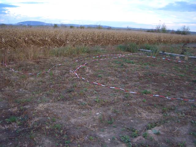 CIMG2893 An der hinteren Grundst�cksgrenze ist eine Natursteinmauer geplant.