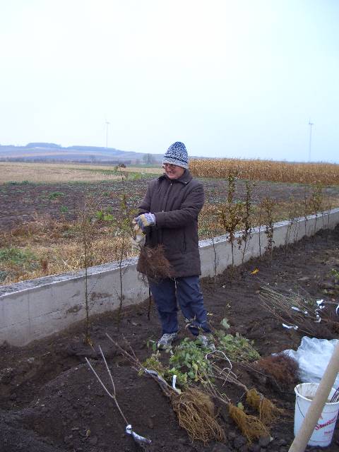 CIMG2925 Und Marlies hat auch kr�ftig angepackt!