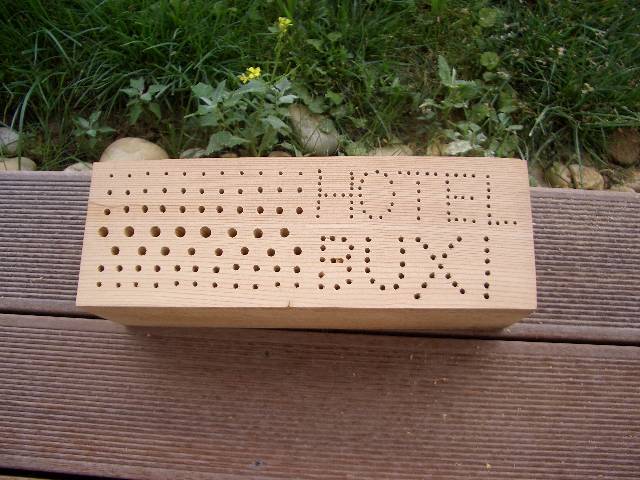CIMG4092 Die L�cher sind f�r verschieden gro�e Bienen.