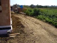 CIMG0198 Auch die Karotten der Nachbarn habens �berlebt