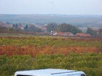 CIMG1197 Heute beginnen wir mit einem Suchr�tsel: wer findet unser Haus?
Die L�sung: unter dem Windrad hinter dem Baum schimmert es blau durch.
