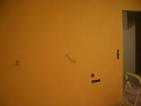 CIMG1694 Ganz sch�n orange!