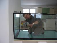 CIMG1988 Unser gr��ter Fisch f�hlt sich im neuen Aquarium schon richtig wohl.