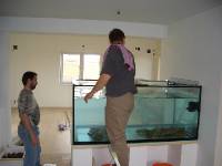 CIMG2059 Am Samstag haben wir die Steine f�r das Aquarium gekauft.