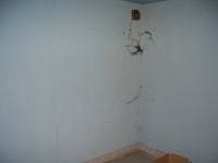 CIMG2218 Wir �bersiedeln schon M�bel wie die wilden und manchmal kommen ganz schlimme Dinge zum Vorschein....