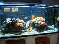 CIMG2573 Ganz sch�n bunt.
