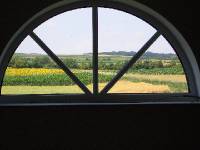 CIMG2605 Nebenan bl�hen die Sonnenblumen.