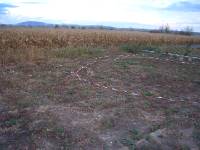 CIMG2893 An der hinteren Grundst�cksgrenze ist eine Natursteinmauer geplant.