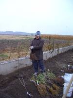 CIMG2925 Und Marlies hat auch kr�ftig angepackt!