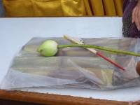 CIMG3430 Lotusblume und R�ucherst�bchen als Opfergabe